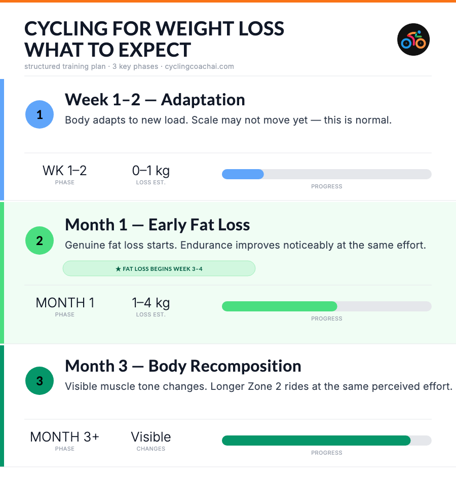 Cycling for weight loss expected results by phase