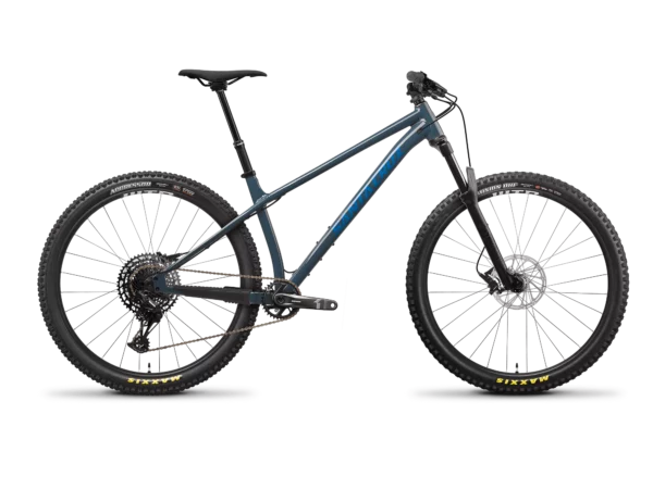 Santa Cruz Chameleon D